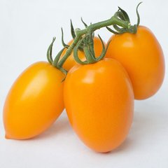 Бенігара F1 (КС 1430 F1) - насіння томата, 500 шт, Kitano 62047 фото