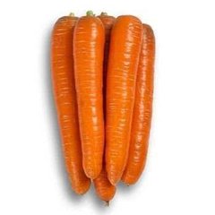 Морковь Морелия F1, 1 000 000 семян (1.6-1.8), Rijk Zwaan 95822 фото