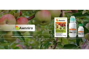 Інсектицид Ампліго: ефективний захист урожаю від шкідників