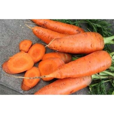 Морковь Катрин, 500 г, Agri Saaten 1077097001 фото