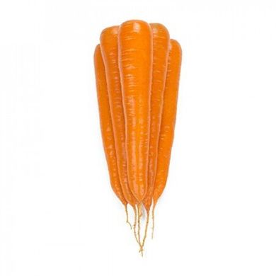Морква Трафорд F1, 100 000 насінин (1.6-1.8), Rijk Zwaan 1091397684 фото