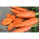 Морковь Катрин, 500 г, Agri Saaten 1077097001 фото 1