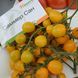 Саммер Сан F1 - насіння томата, 250 шт, Hazera 58782 фото 2