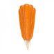 Морковь Трафорд F1, 100 000 семян (1.6-1.8), Rijk Zwaan 1091397684 фото 1