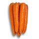 Морква Морелія F1, 1 000 000 насінин (1.6-1.8), Rijk Zwaan 95822 фото 1