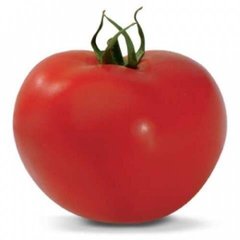 Панекра F1 - насіння томата, 500 шт, Syngenta 42218 фото
