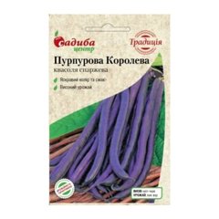 Пурпурова Королева - насіння квасолі спаржевої, СЦ Традиція опис, фото, відгуки