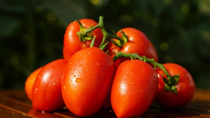Діно F1 - насіння томата, 1000 шт, Clause 68852 фото