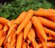 Брилианс F1 - семена моркови, 100 000 шт (1.4 - 1.6), Nunhems 13291 фото 1
