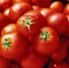 Платон F1 - насіння томата, 500 шт, Spark Seeds 86800 фото 2
