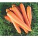Бріліанс F1 - насіння моркви, 100 000 шт (1.4 - 1.6), Nunhems 13291 фото 2