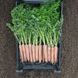 Наполі F1 - насіння моркви, 1 000 000 шт (1.6-1.8), Bejo 61838 фото 2