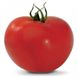 Панекра F1 - насіння томата, 500 шт, Syngenta 42218 фото 1