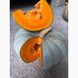 Сампсон F1 - семена тыквы, 500 шт, Enza Zaden 12101 фото 1