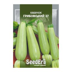 Грибовський 37 - насіння кабачка, 20 г, SeedEra 01237 фото