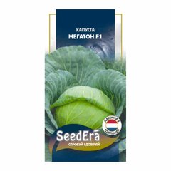 Мегатон F1 - насіння капусти, 20 шт, Bejo (SeedEra) 01930 фото