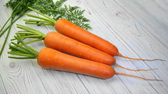 Титан F1 - семена моркови, 250 000 шт (2.0-2.4), Spark Seeds 48610 фото