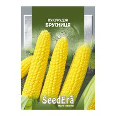 Брусниця - насіння кукурудзи, SeedEra опис, фото, відгуки