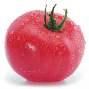 Кітару F1 (КС 14 F1) - насіння томата, 500 шт, Kitano 905550327 фото