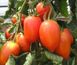 Колібрі F1 - насіння томата, 250 шт, Clause 66133 фото 2