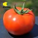 Нада F1 - насіння томата, 1000 шт, Esasem 90786 фото 2