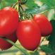 Колібрі F1 - насіння томата, 250 шт, Clause 66133 фото 3
