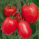 1015 F1 - насіння томата, 500 шт, Lark Seeds 67470 фото 1