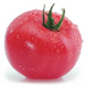 Кітару F1 (КС 14 F1) - насіння томата, 500 шт, Kitano 905550327 фото 3