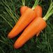 Мірафлорес F1 - насіння моркви, 100 000 шт (1.4-1.6), Clause 00842 фото 4