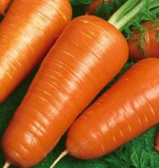 Купар F1 - насіння моркви, 1 000 000 шт (2.0-2.2), Bejo 61841 фото