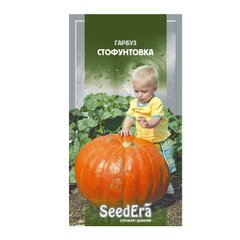 Стофунтовка - семена тыквы, 20 г, SeedEra 01239 фото