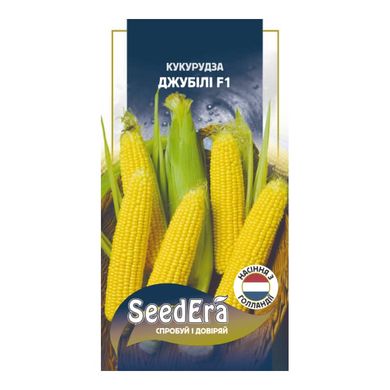 Джубілі F1 - насіння кукурудзи, 20 шт, Syngenta (SeedEra) 14601 фото
