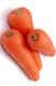 СВ 3118 F1 - насіння моркви, 200 000 шт (1.8-2.0), Seminis 1085358509 фото 3