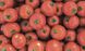 Мамако F1 - семена томата, 2500 шт, Syngenta 49401 фото 2