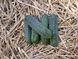 Марія F1 - насіння огірка, 1000 шт, Sakata 59472 фото 4
