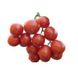 Шкіпер F1 - насіння томата, 1000 шт, Lark Seeds 03320 фото 1