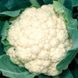 Абени F1 - семена капусты цветной, 2500 шт, Seminis 18110 фото 1