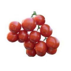 Шкіпер F1 - насіння томата, 10 000 шт, Lark Seeds 03321 фото