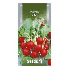 Ілка - насіння редису, SeedEra опис, фото, відгуки