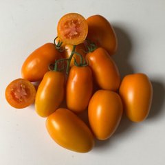 Ремембе F1 - насіння томата, 1000 шт, Spark Seeds 92511 фото