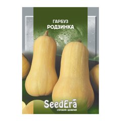 Изюминка - семена тыквы, 20 г, SeedEra 01240 фото