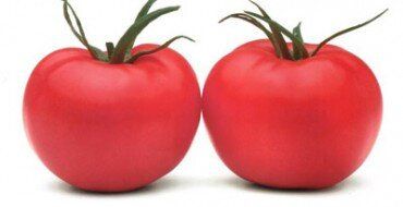 Пінк Парадайз F1 - насіння томата, 1000 шт, Sakata 13694 фото