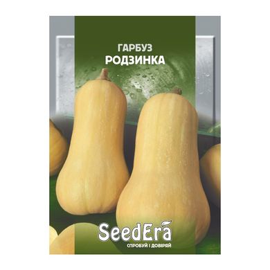 Родзинка – насіння гарбуза, 20 г, SeedEra 01240 фото