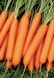 Морковь Люсия F1, 25 000 семян, Agri Saaten 1077096985 фото 2