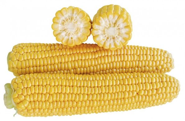1707 F1 - насіння кукурудзи, 2 500 шт, Lark Seeds 894766232 фото