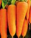 СВ 7381 F1 - семена моркови, 1 000 000 шт (1.8-2.0), Seminis 1085381699 фото 1