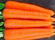 СВ 7381 F1 - насіння моркви, 1 000 000 шт (1.8-2.0), Seminis 1085381699 фото 2