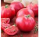 Пінк Парадайз F1 - насіння томата, 1000 шт, Sakata 13694 фото 1
