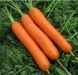 Семена моркови Матч F1, Clause 100 000 семян 1067886642 фото 3