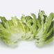 Рафаель - насіння салату, 1000 шт (драже), Rijk Zwaan 25966 фото 4
